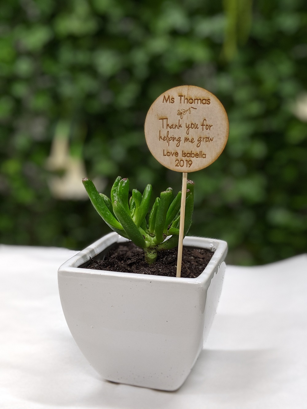 Personalised Thank You Teacher Timber Plant Marker Fleurieu Gifts