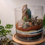 Desert style terrariums featuring cacti, rocks and crystals